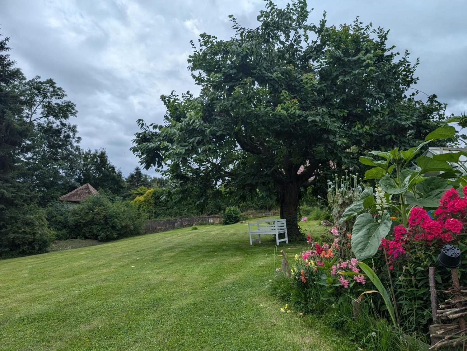 Ferienwohnung Janke Nossen Buitenkant foto